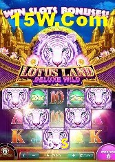 Casino Ao Vivo 53S